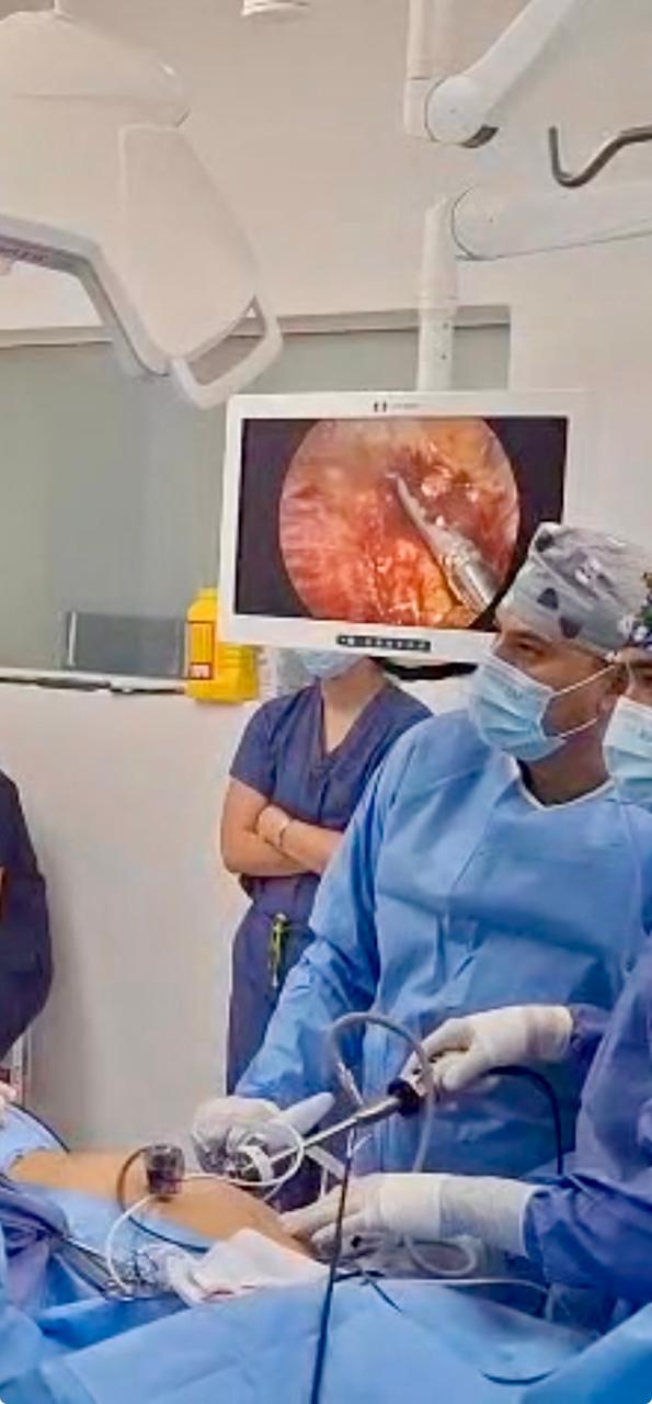 Imagen de la galería profesional