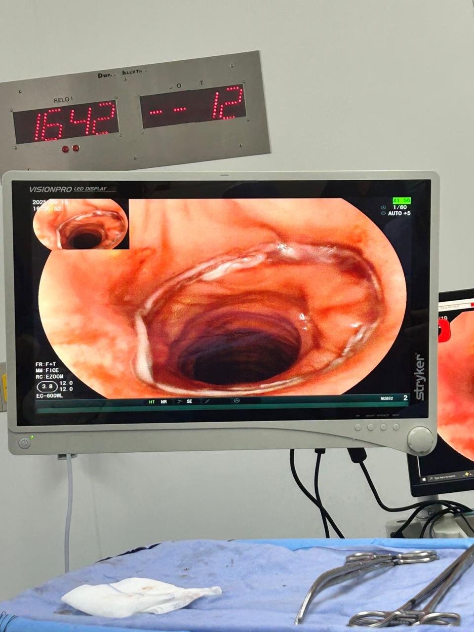 Imagen de la galería profesional