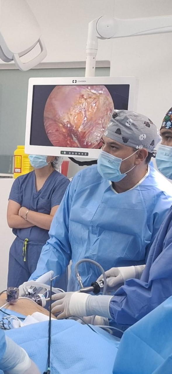 Imagen de la galería profesional