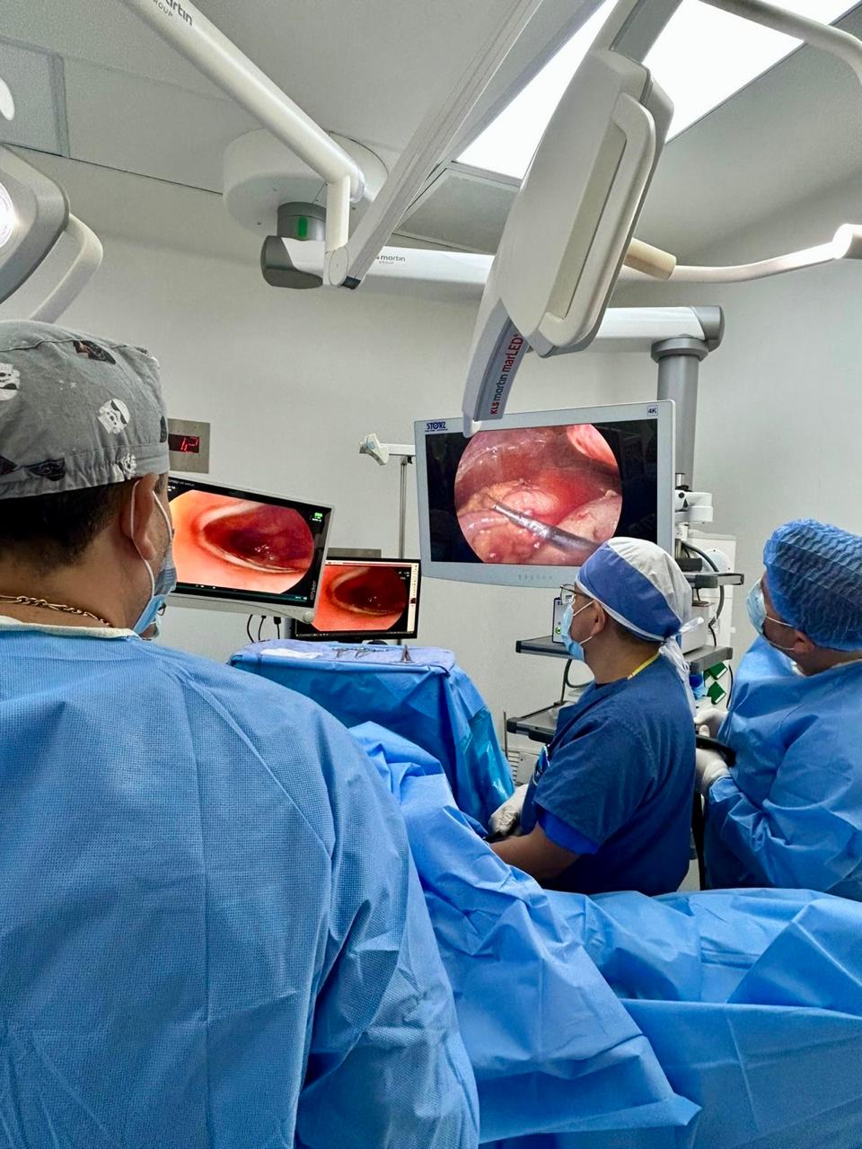 Imagen de la galería profesional