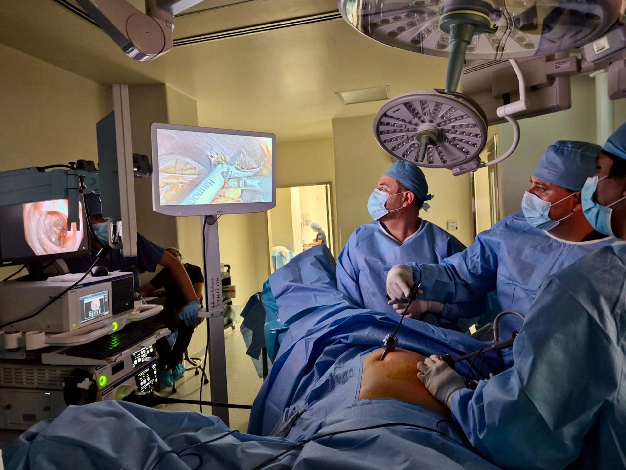 Imagen de la galería profesional