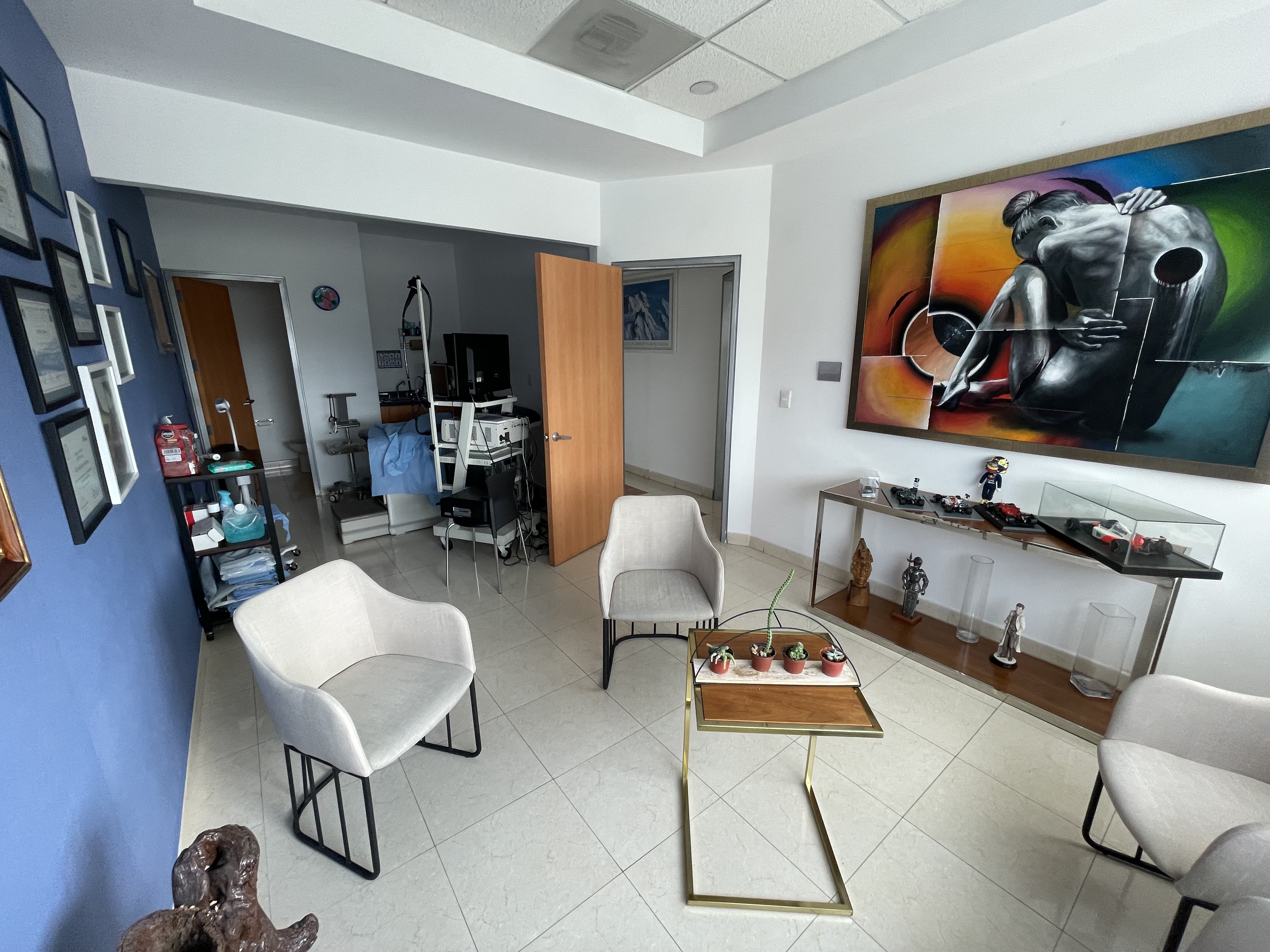 Imagen de la galería profesional