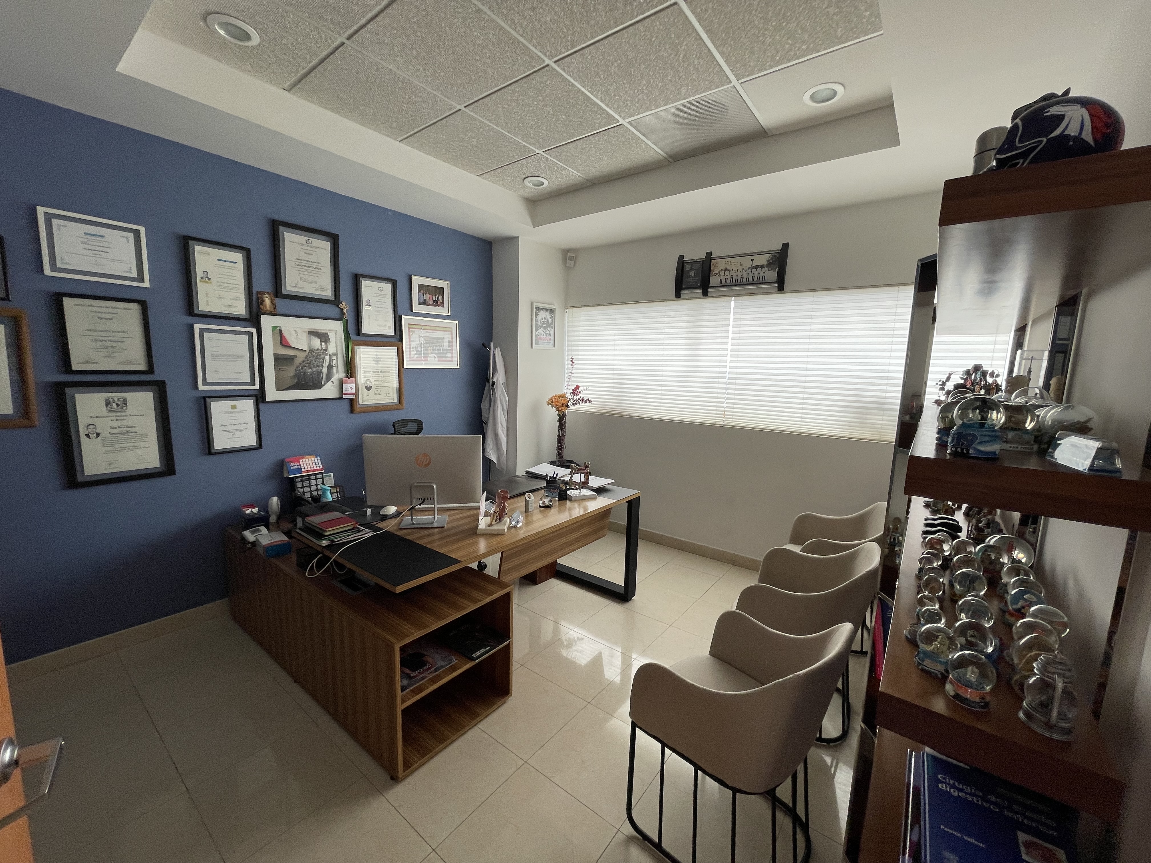 Imagen de la galería profesional