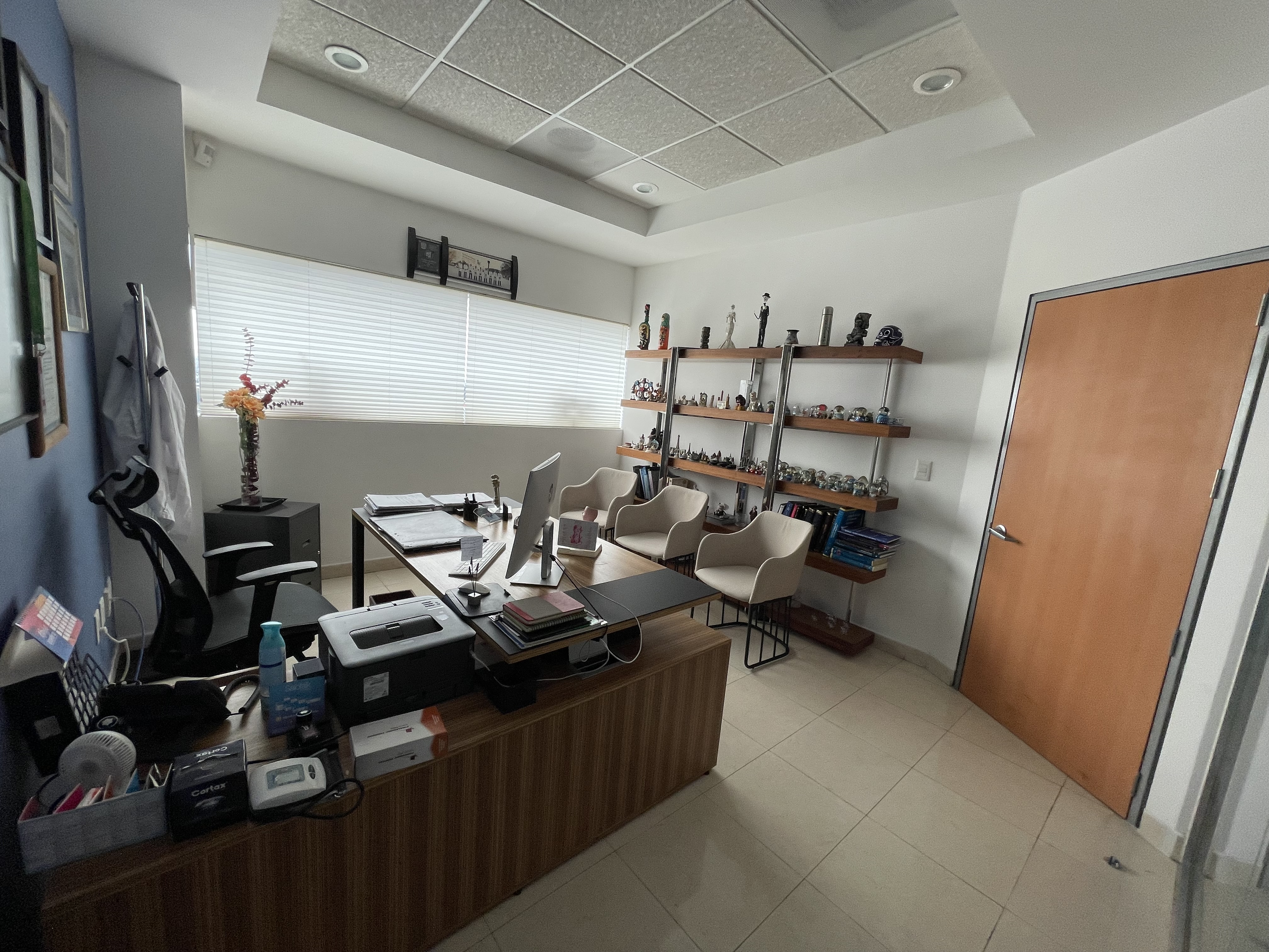 Imagen de la galería profesional