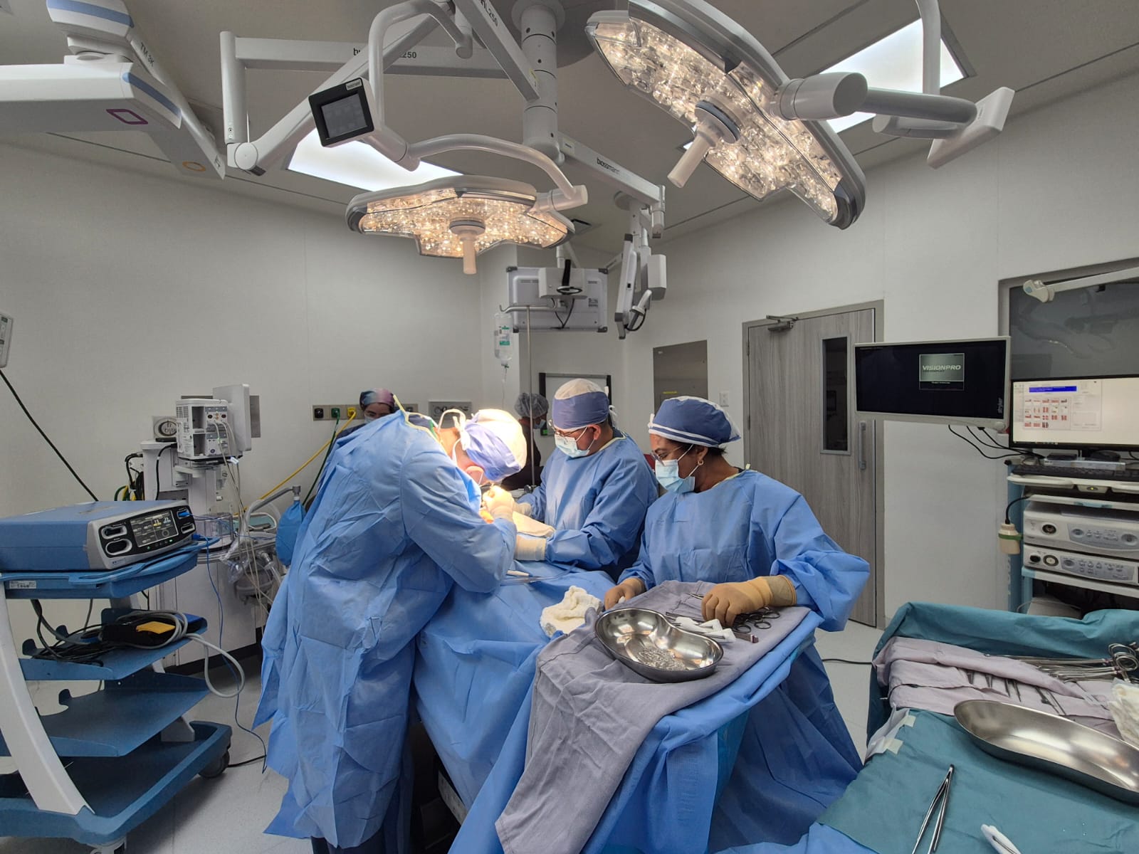 Imagen de la galería profesional