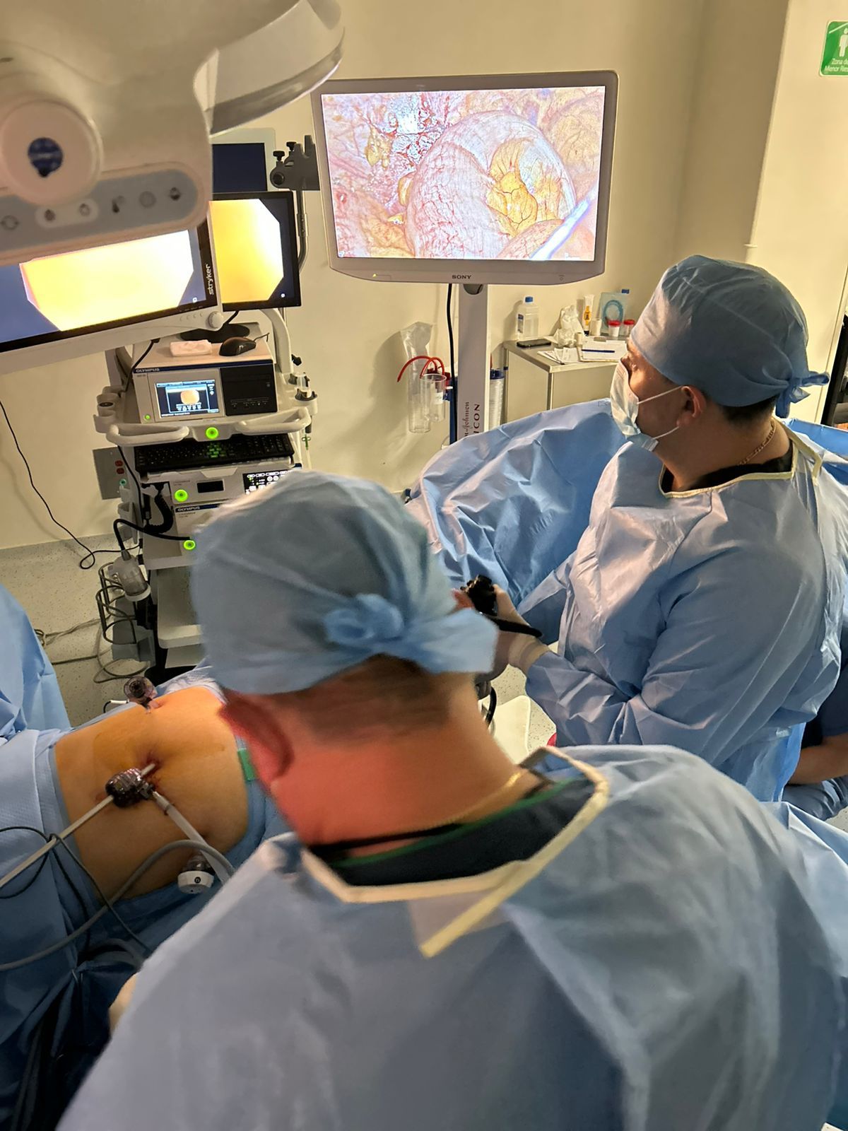 Imagen de la galería profesional