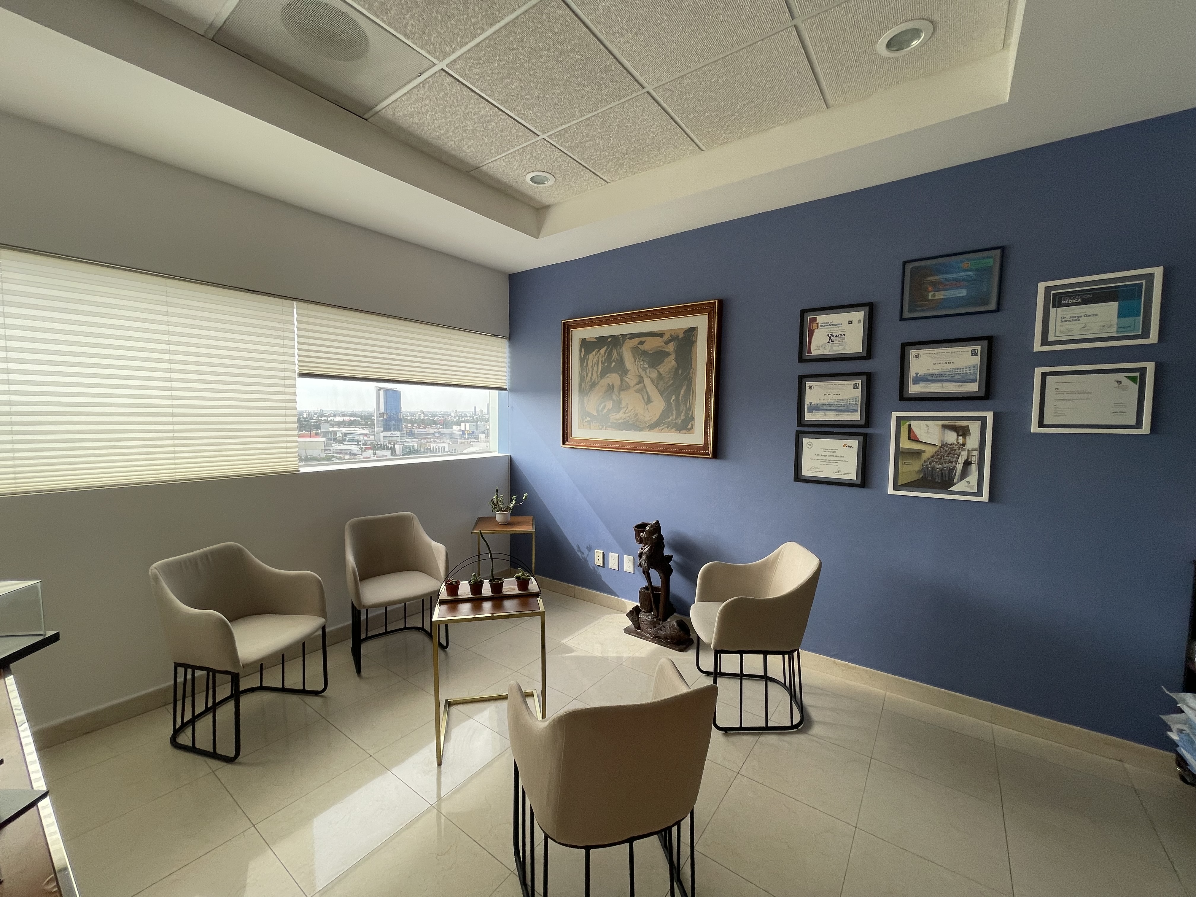 Imagen de la galería profesional